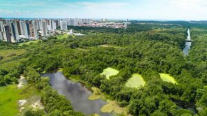 Os 10 Melhores Parques Urbanos para Aventuras em Família no Brasil, Espaços gramados amplos para montar toalhas e cesta, Mesas sob árvores para lanches rápidos